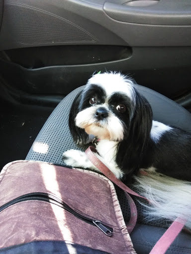 Pet Supply Store «PetSmart», reviews and photos, 79375 CA-111, La Quinta, CA 92253, USA