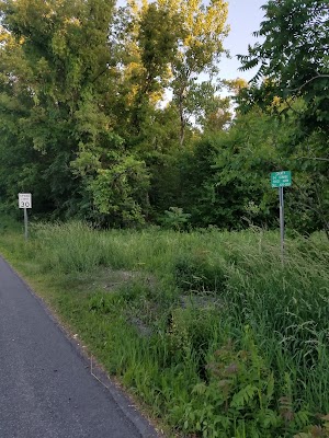 Reed Webster Park - photo 91