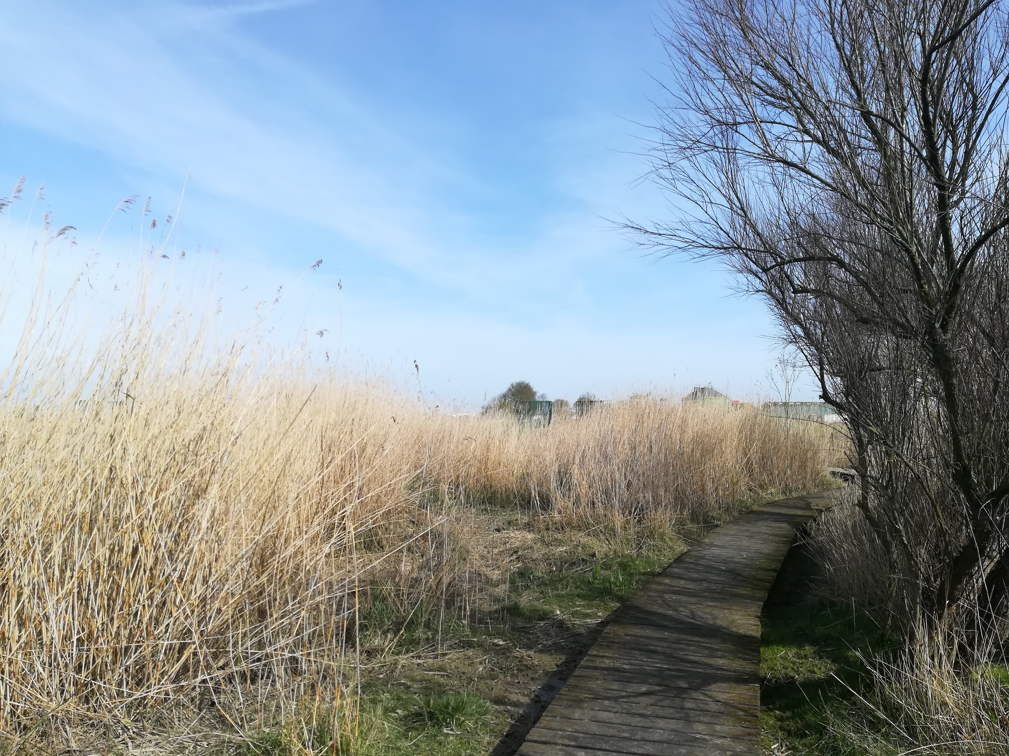 Photo n° 20 de l'avis de Nathalie.e fait le 12/03/2019 à 11:58