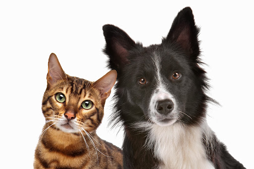 Cva - Centros Veterinarios Antúnez en Huelva