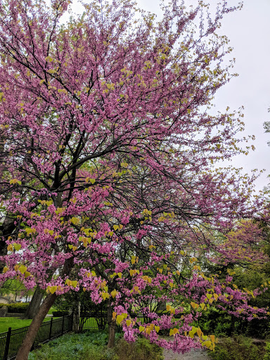 Park «Chicago Park District», reviews and photos, 5505 W Berteau Ave, Chicago, IL 60641, USA