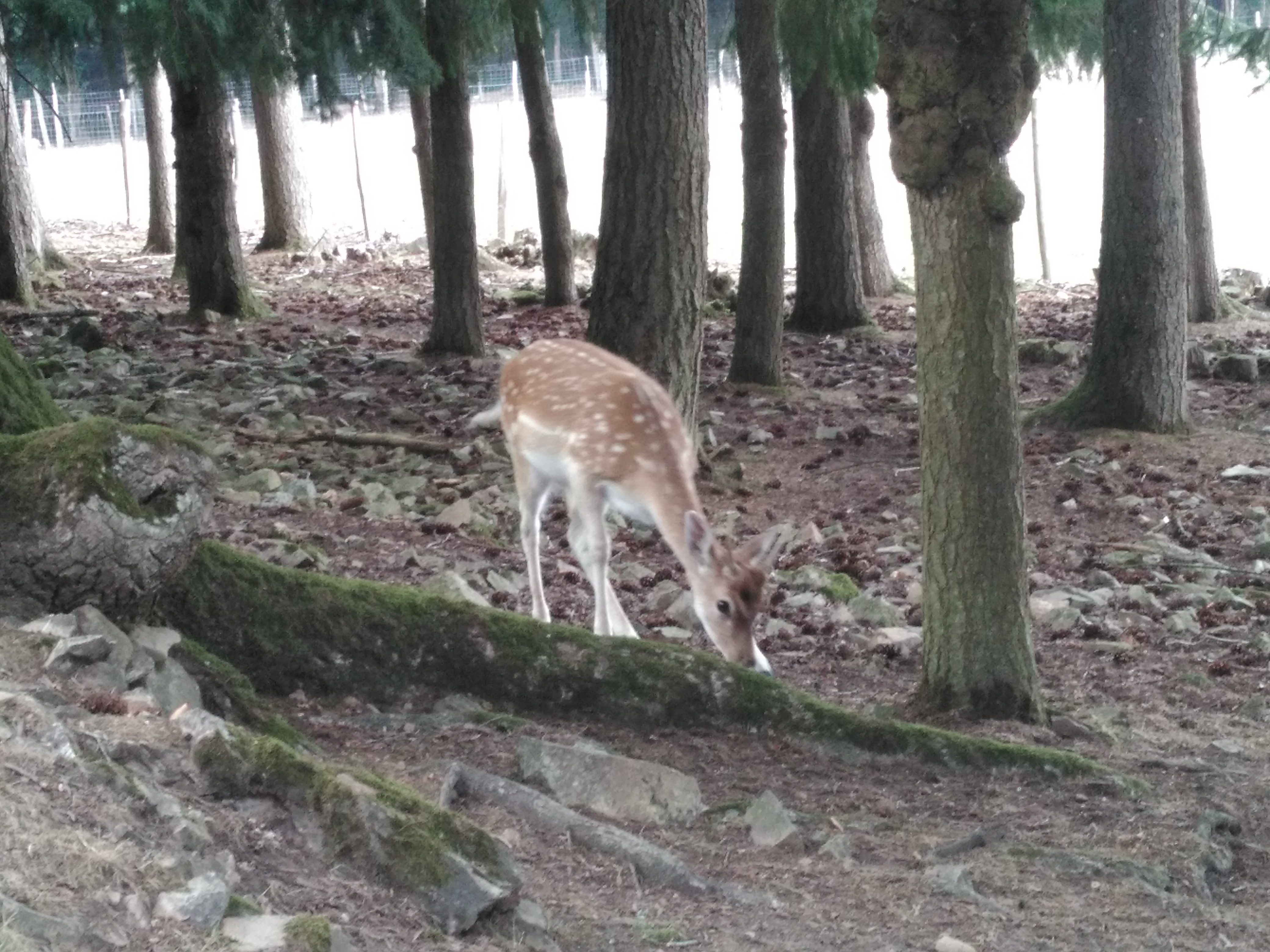 Photo n° 4 de l'avis de Sandrine.. fait le 31/08/2019 à 18:31