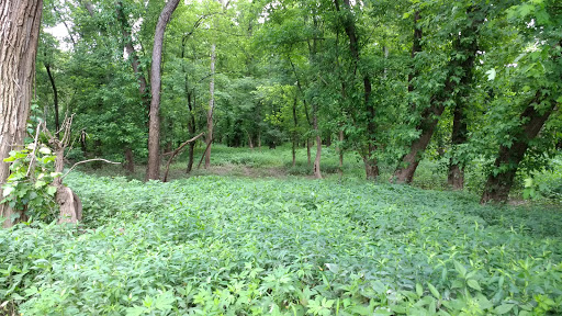 Golf Course «Reeves Golf Course», reviews and photos, 4757 Playfield Ln, Cincinnati, OH 45226, USA