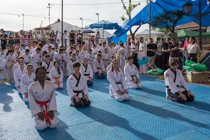 Taekwondo Rubén Hita Granada image