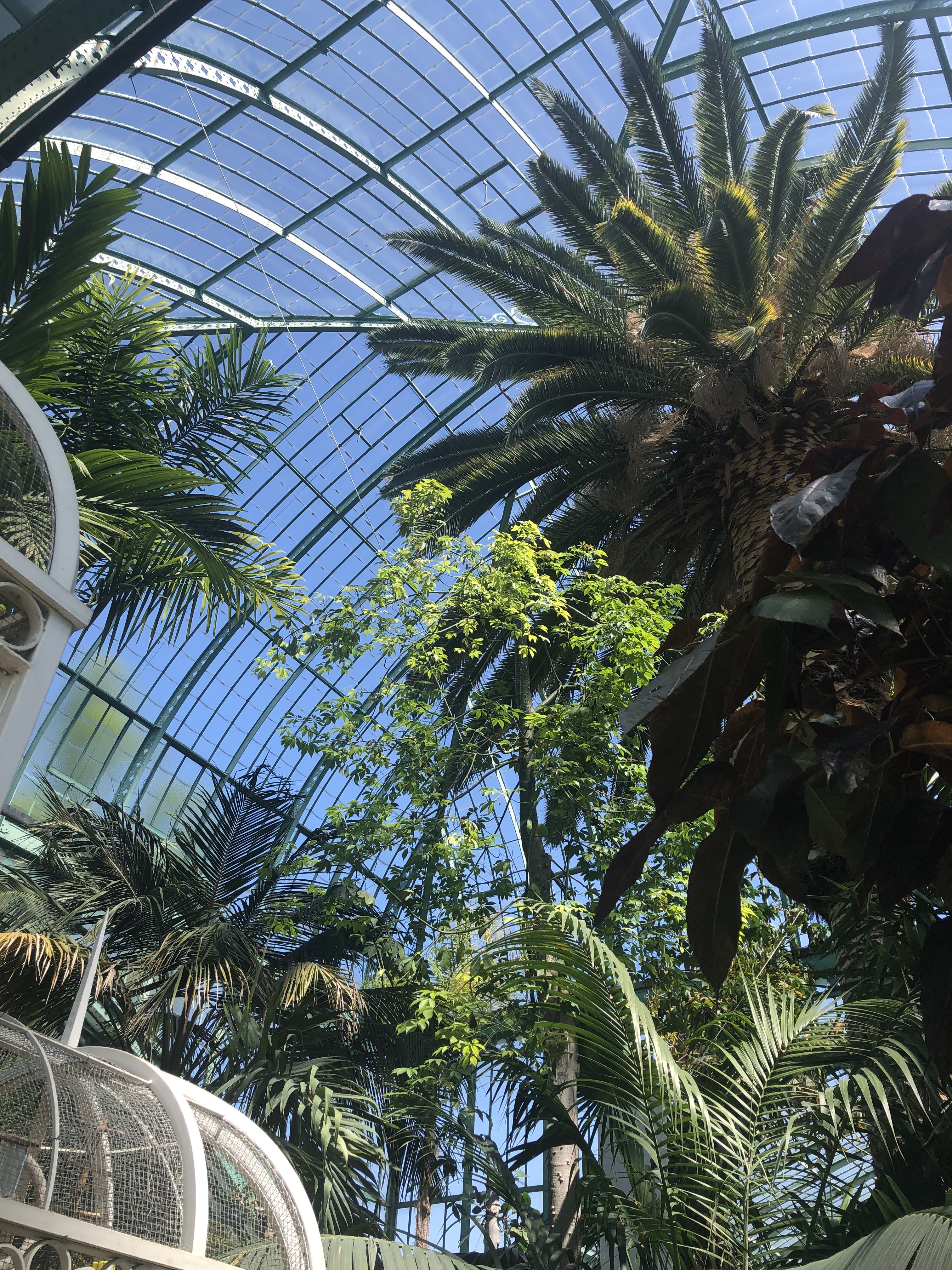 Photo n° 6 de l'avis de Pauline. fait le 19/05/2019 à 11:33