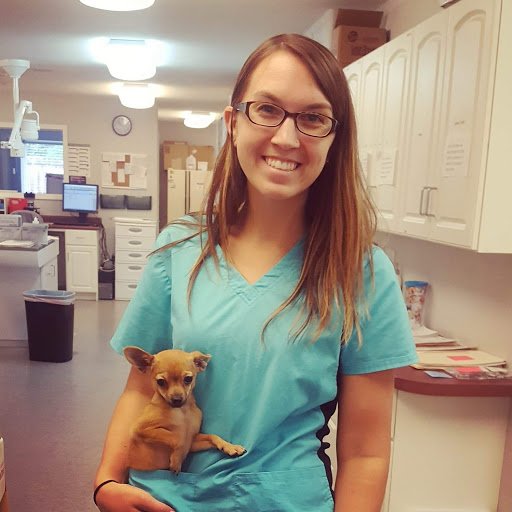 R Veterinary at Cross Creek image