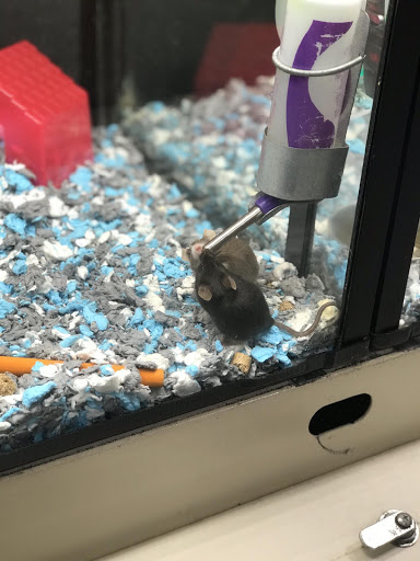 Pet Supply Store «PetSmart», reviews and photos, 8660 Airline Hwy, Baton Rouge, LA 70815, USA