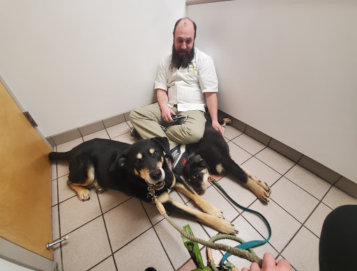 Binder Animal Hospital image