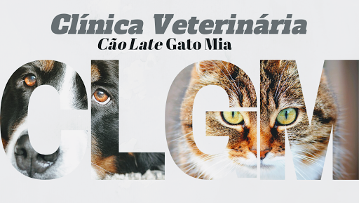 Clínica Veterinária Cão Late Gato Mia em Carapicuíba - SP