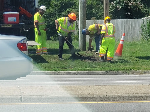 Pet Supply Store «Pet Supplies Plus», reviews and photos, 5394 Kemps River Dr Suite 101, Virginia Beach, VA 23464, USA