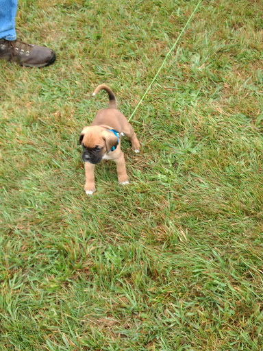 Museum «Raitt Homestead Farm Museum», reviews and photos, 2077 State Rd, Eliot, ME 03903, USA