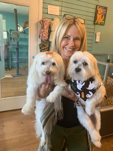 Pet Store «Pet Village», reviews and photos, 5610 Old York Rd, Rock Hill, SC 29732, USA