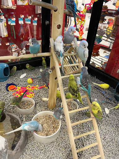 Pet Supply Store «PetSmart», reviews and photos, 5 Mystic View Rd, Everett, MA 02149, USA