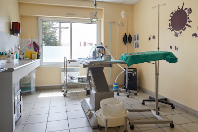 Clinique Vétérinaire Ar Gwilen à Nivillac