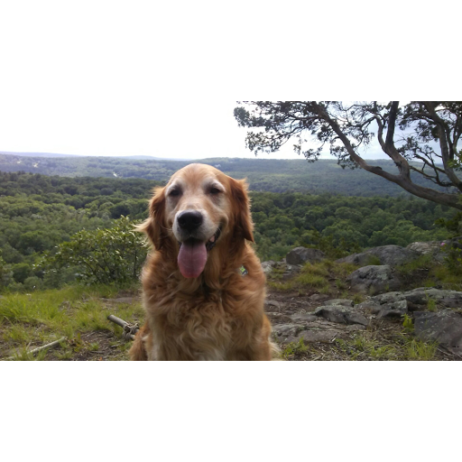 Pet Supply Store «Wholesome Animal Grocery Store (WAGS)», reviews and photos, 70 E Main St, Avon, CT 06001, USA