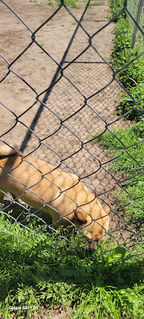 The Bicycle Connection - Photo 5 - Car repair in Rockford, IL, Rockford