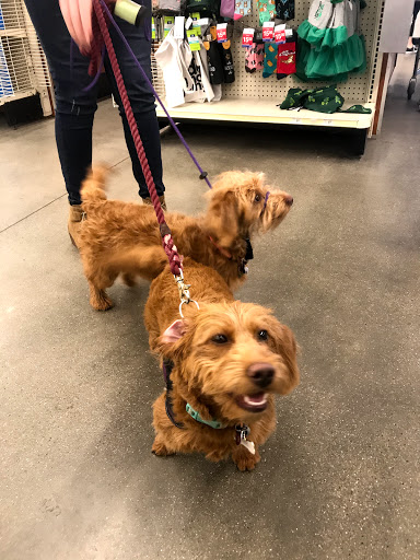 Pet Supply Store «PetSmart», reviews and photos, 10329 S State St, Sandy, UT 84070, USA