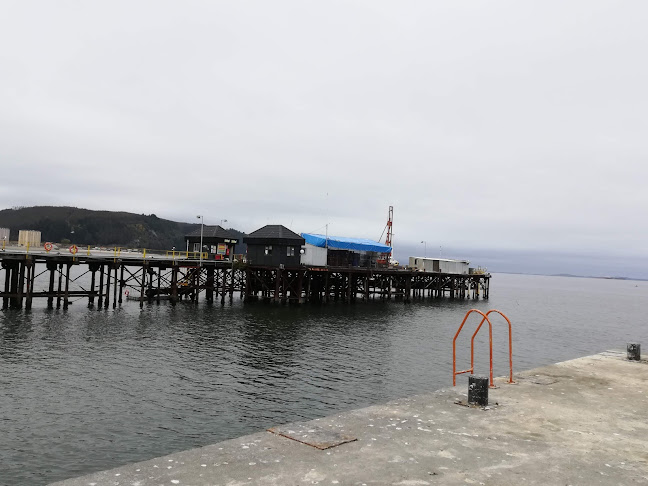 Comentarios y opiniones de Terminal Pesquero - Tomé
