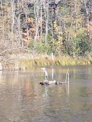 Scout Lake Park - photo 99