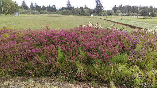 Museum «Cranberry Museum», reviews and photos, 2907 Pioneer Rd, Long Beach, WA 98631, USA