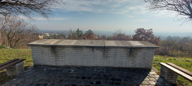 Diósd Géza fejedelem utca vége, 2049