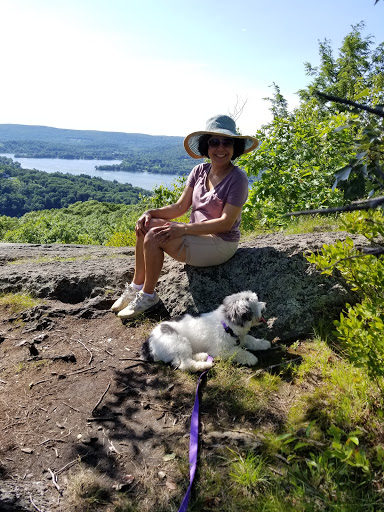 Nature Preserve «Macricostas Preserve», reviews and photos, 121 Christian St, New Preston, CT 06777, USA