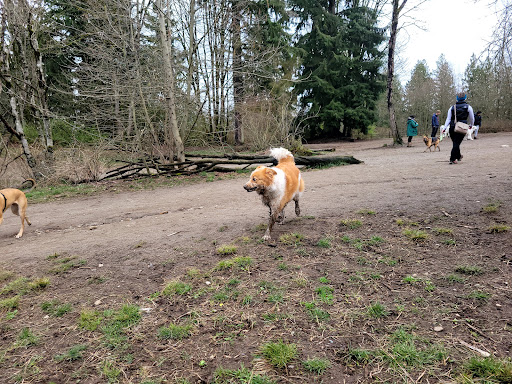 Park «Willis D. Tucker Community Park», reviews and photos, 6705 Puget Park Dr, Snohomish, WA 98296, USA