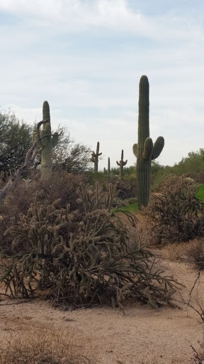 Golf Club «Tatum Ranch Golf Club», reviews and photos, 29888 N Tatum Ranch Dr, Cave Creek, AZ 85331, USA