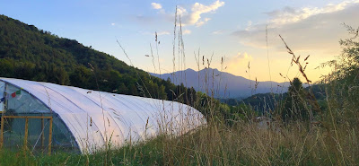 Spiruline Ôde des Pyrénées, producteur de spiruline biologique paysanne française à Castelbiague