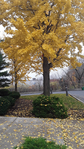 Federal Credit Union «First Commonwealth Federal Credit Union», reviews and photos