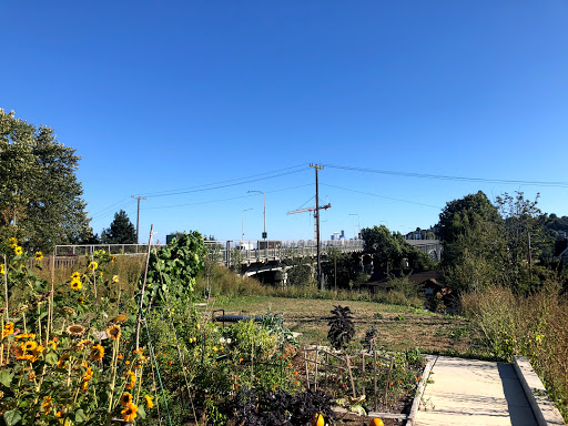 Tourist Attraction «Fremont Troll», reviews and photos, Troll Ave N, Seattle, WA 98103, USA