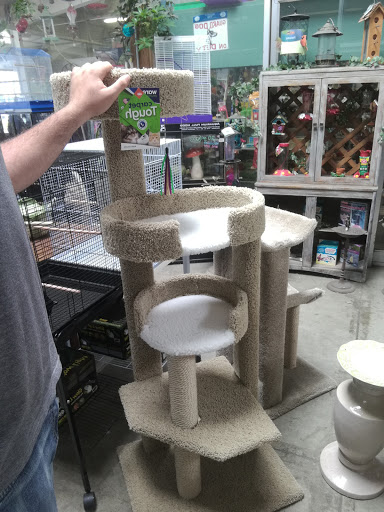 Pet Supply Store «Village Pet Shop», reviews and photos, 3008 Pacific Ave, Livermore, CA 94550, USA