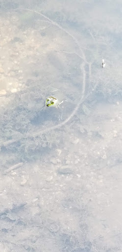 Park «Endicott Park (Town of Danvers)», reviews and photos, 57 Forest St, Danvers, MA 01923, USA