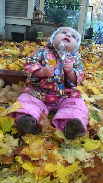 Tumbleweed Infant House LLC - Photo 3 - Car repair in Portland, OR, Portland