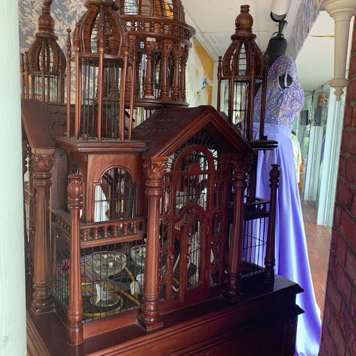 Bridal Shop «Patricia South Bridal and Formal», reviews and photos, 4066 W Broward Blvd, Plantation, FL 33317, USA