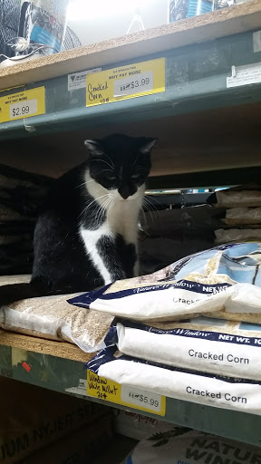 Pet Supply Store «K-9 Specialties», reviews and photos, 31936 Mound Rd, Warren, MI 48092, USA