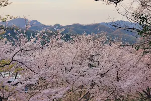 Egeyama Park image