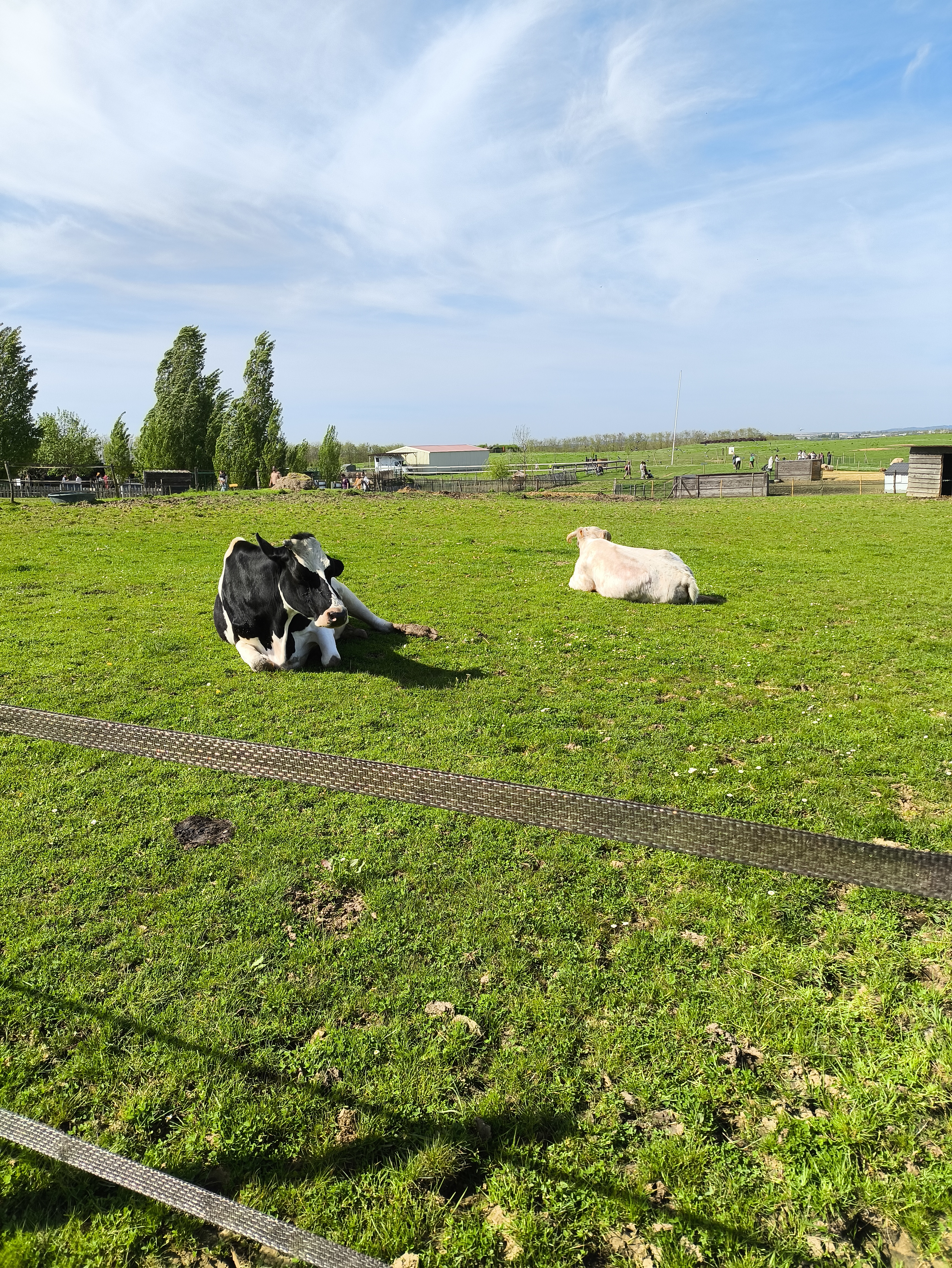 Photo n° 9 de l'avis de Pierre. fait le 13/04/2024 à 17:25