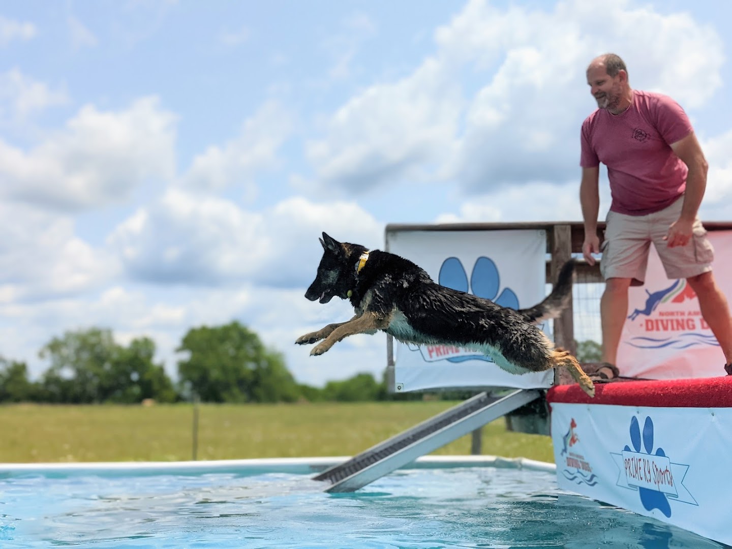 Prime K9 Training