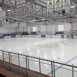 Lewis Ice Arena
