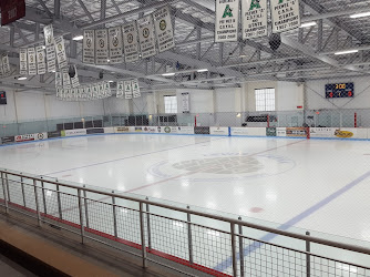 Lewis Ice Arena