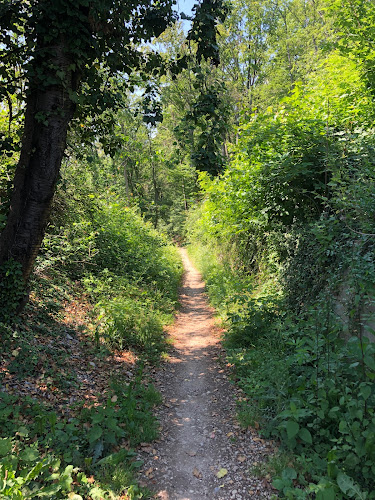 Rezensionen über Arlesheim Biketrail Trailnet Kiste in Liestal - Sportstätte