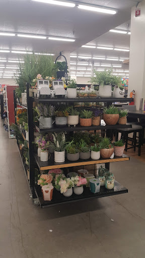 Discount Store «Big Lots», reviews and photos, 2882 Tamiami Trail E, Naples, FL 34112, USA