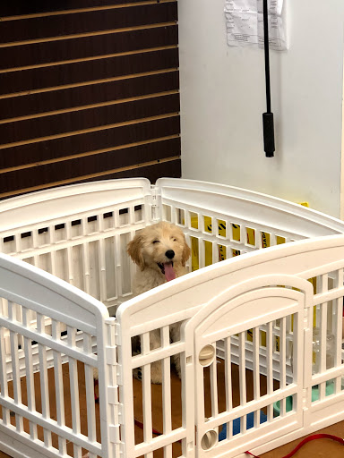 Clothing Store «Uptown Cheapskate», reviews and photos, 929 E Commercial Blvd, Oakland Park, FL 33334, USA