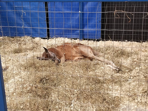 Conference Center «Fair & Expo Center», reviews and photos, 2695 E Henrietta Rd, Henrietta, NY 14467, USA