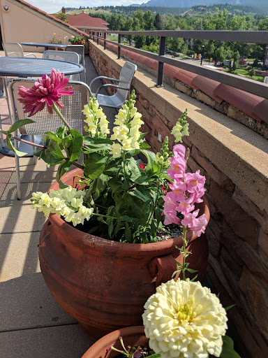 Book Store «University of Colorado Boulder: CU Book Store», reviews and photos, 1669 Euclid Ave, Boulder, CO 80309, USA