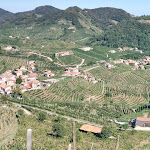 Photo n°4 de l'avis de Dane.a fait le 10/08/2022 à 14:29 sur le  Osteria Senz'Oste à Valdobbiadene