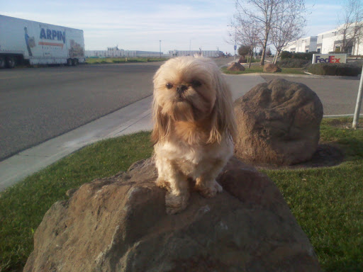 Shipping and Mailing Service «FedEx Ship Center», reviews and photos, 935 Performance Dr, Stockton, CA 95206, USA