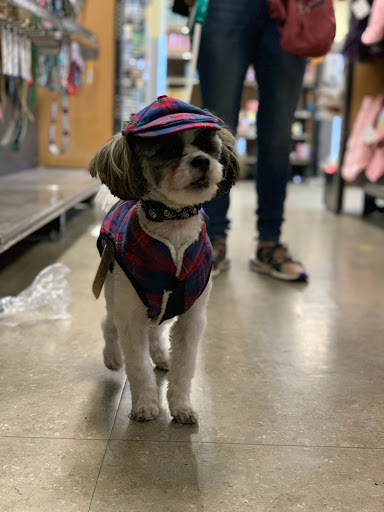 Pet Supply Store «Petco Animal Supplies», reviews and photos, 157-20 Cross Bay Blvd, Howard Beach, NY 11414, USA