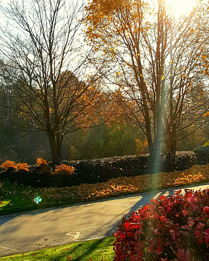 Casino «Greektown Casino», reviews and photos, 555 E Lafayette St, Detroit, MI 48226, USA